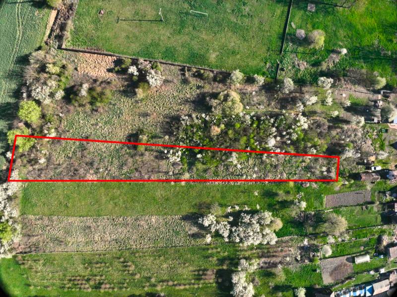 Gärten in Gemer mit Blumenrändern und Rasenflächen.