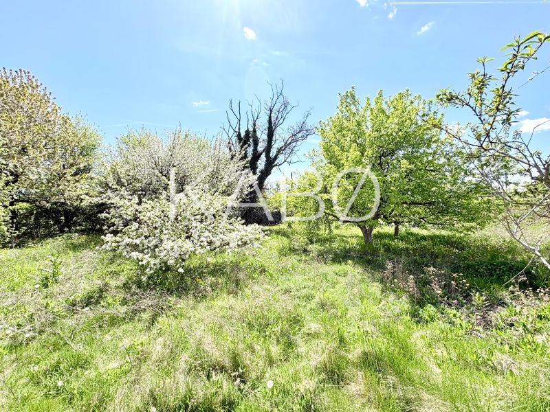 Garten mit Frühlingsbäumen und Gras im Teil Puškinova, Stadt Partizánske.