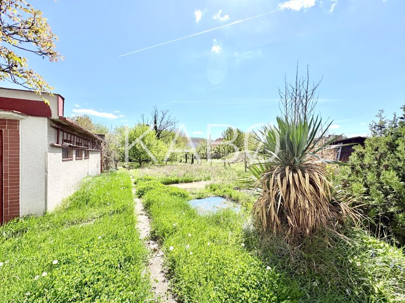Der Garten des Einfamilienhauses in der Puškinova-Straße in Partizánske mit Rasen und Sträuchern.