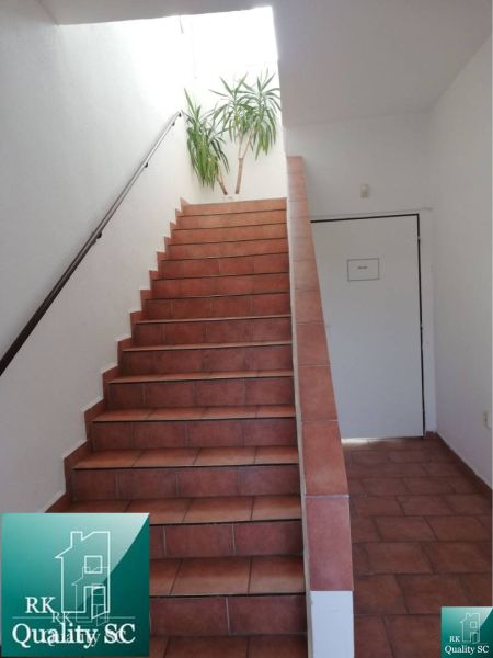 Das Innere eines Einfamilienhauses mit roten Treppen, weißen Wänden und einer Pflanze.