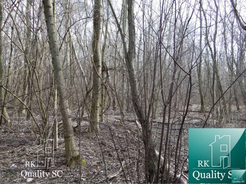 Waldgrundstück in der Straße Starý prístav Gabčíkovo, geeignet zum Wohnen.