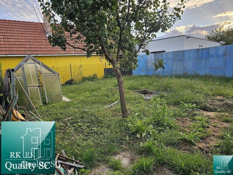 Der Garten des Einfamilienhauses in Tureni mit Gewächshaus, Baum und Rasenfläche.