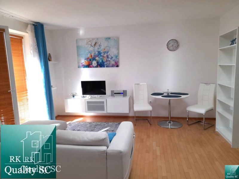 Wohnzimmer in einer Einzimmerwohnung mit Holzboden, Sofa und Fernseher.