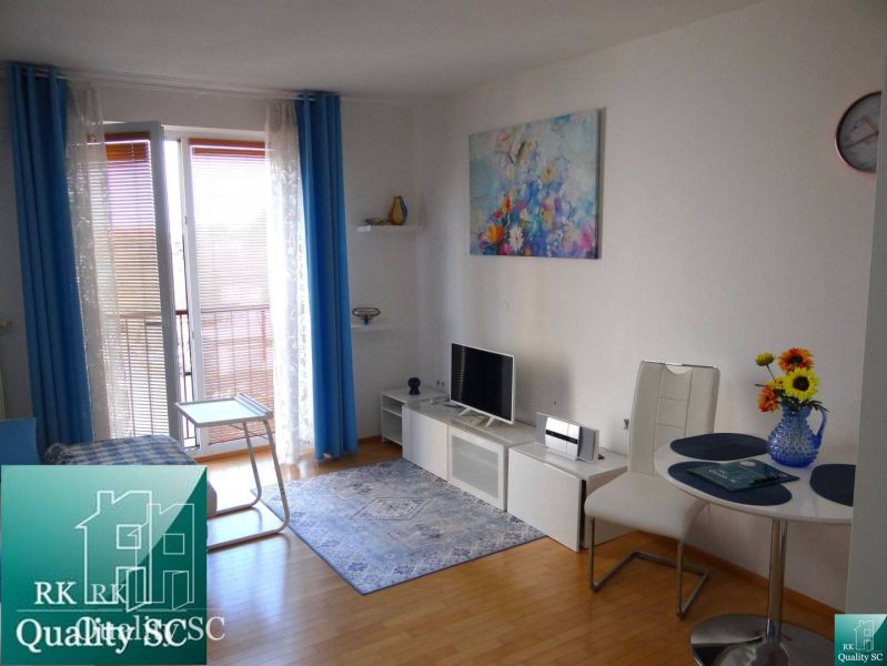 Wohnzimmer in einer Einzimmerwohnung mit Holzboden und blauer Dekoration.