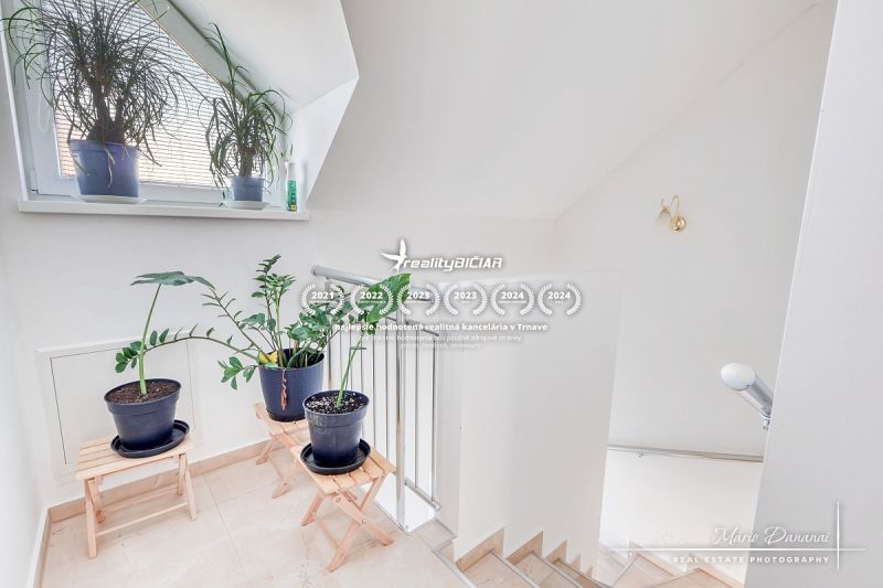 Innenraum eines Einfamilienhauses mit Pflanzen auf der Treppe, weißen Wänden und einem Fenster.