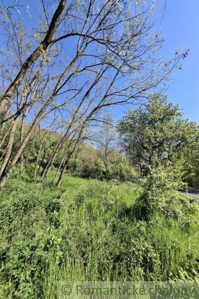 Grünflächen und Bäume in Šiatorská Bukovinka, ideal für Grundstücke - Wohnen.