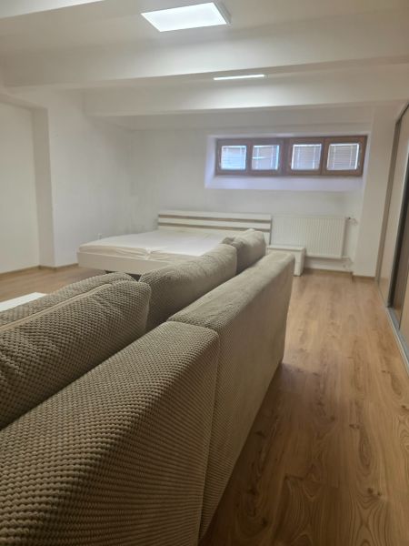 Innenraum einer 1-Zimmer-Wohnung mit Sofa, Bett und Boden in Holzoptik.