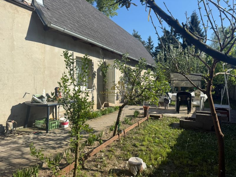 Garten bei der Hütte in Sekule mit Tisch und Stühlen, Rasen und Bäumen.