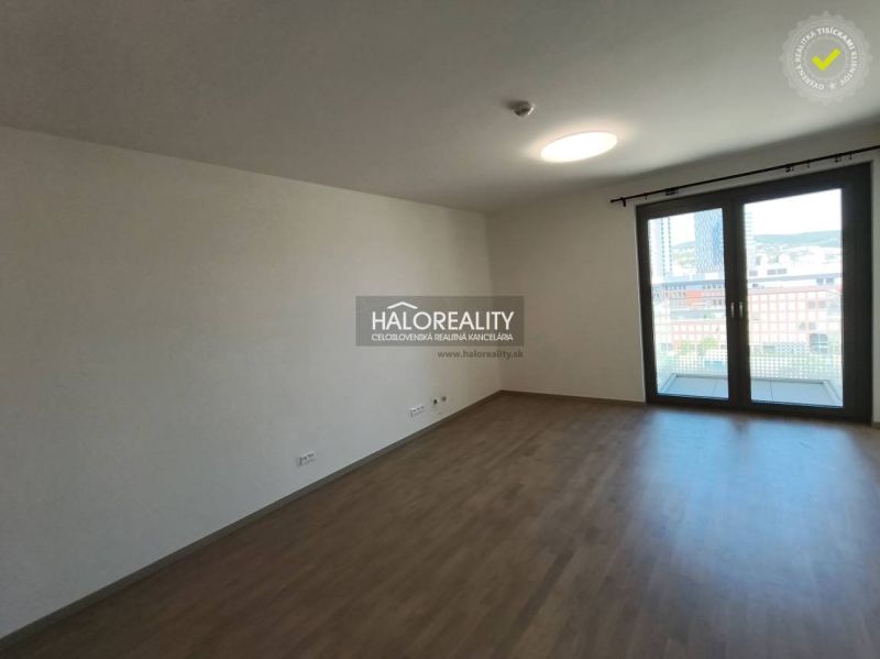 Wohnzimmer mit Küchenzeile und Holzboden in einer Einzimmerwohnung.