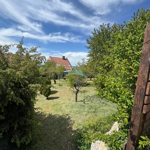 Der Garten mit Bäumen bei der Hütte in der Akazienstraße in Šahy, unter blauem Himmel.