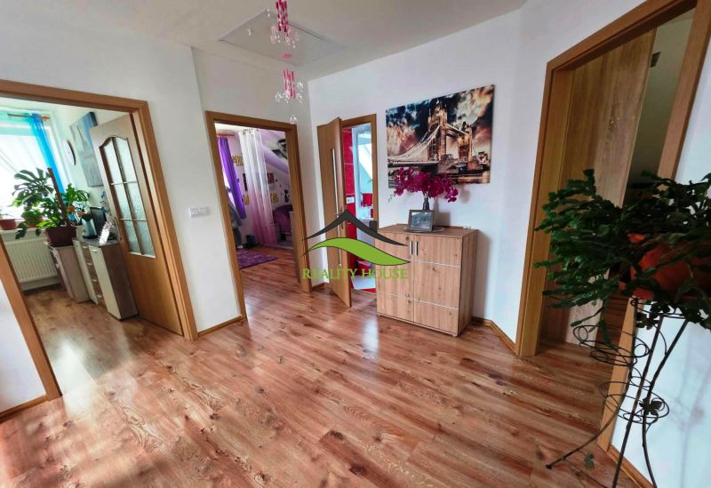 Innenraum eines Einfamilienhauses mit Holzboden und Zimmerpflanzen.