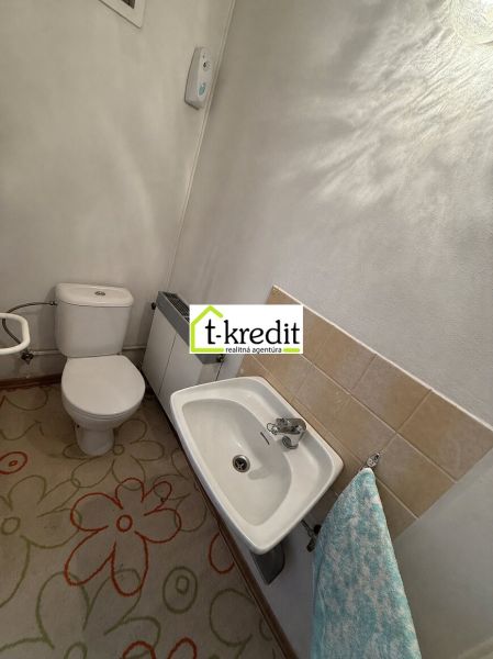 Ein Badezimmer in einem Einfamilienhaus mit Toilette, Waschbecken und Teppichdekor.