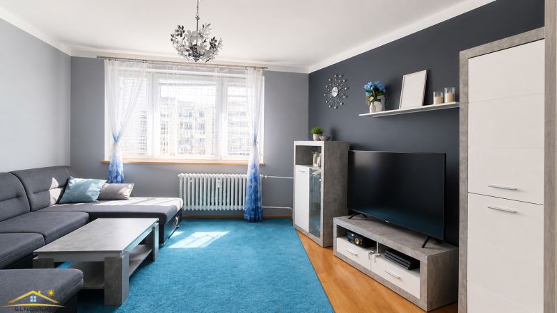 Wohnzimmer in einer 3-Zimmer-Wohnung mit Holzboden und blauem Teppich.