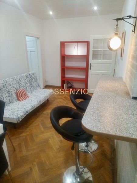 Wohnzimmer mit Bartresen, Sofa und Regalen in einer 2-Zimmer-Wohnung mit Holzboden.