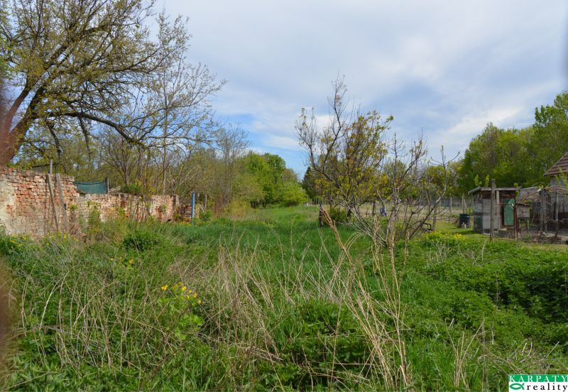 Der Garten eines Einfamilienhauses in Horné Saliby mit Rasen, Bäumen und einem alten Ziegelzaun.