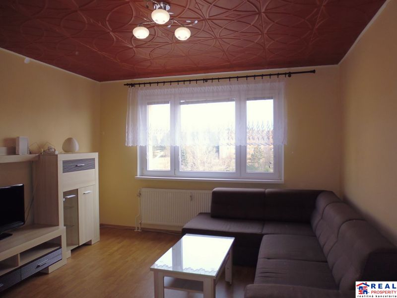 Wohnzimmer in einer 2-Zimmer-Wohnung mit brauner Decke und Boden in Holzoptik.