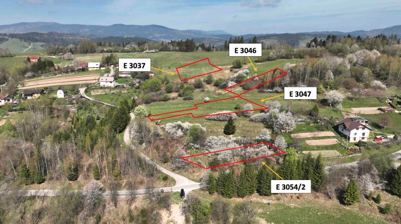 Blühende Bäume und weitläufige landwirtschaftliche und forstwirtschaftliche Flächen am Hang in Svrčinovec.