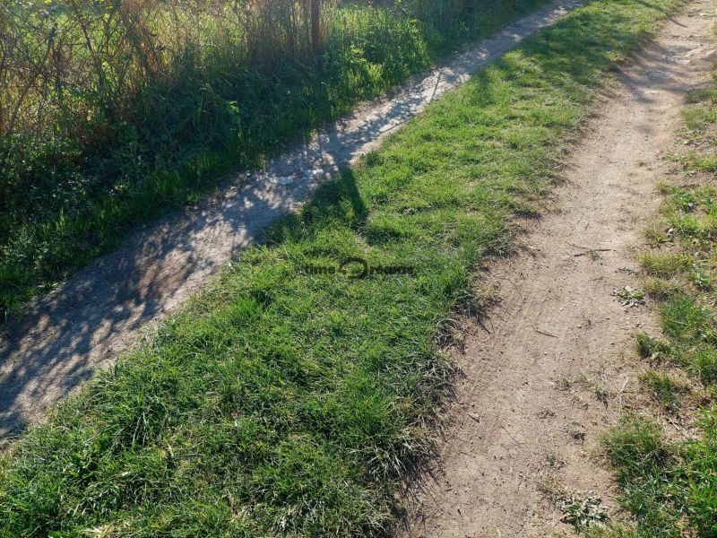 Ein grasiger Weg in Budiná mit wachsenden Sträuchern entlang der Straße bei einem Einfamilienhaus.
