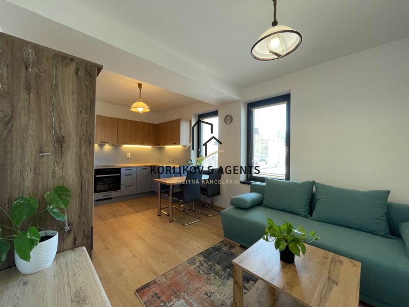 Wohnzimmer mit Küche, Holzboden, grünes Sofa, 2-Zimmer-Wohnung.