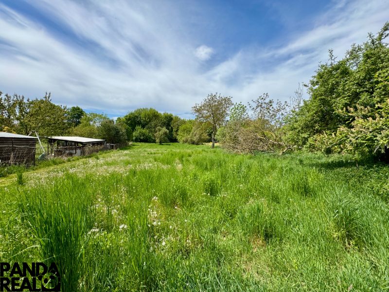 Großer grüner Garten mit Rasen und Bäumen in Hajná Nová Ves.