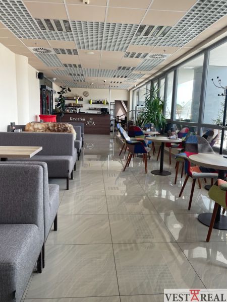 Ein modernes Café-Interieur mit bequemen Sitzgelegenheiten und großen Fenstern.