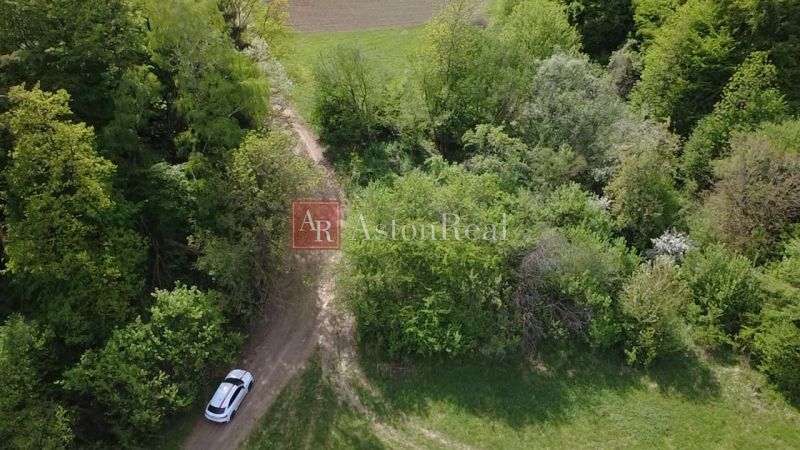 Ein Auto auf einem Waldweg in den Erholungsgrundstücken Streženice, Streženice, umgeben von Grün.