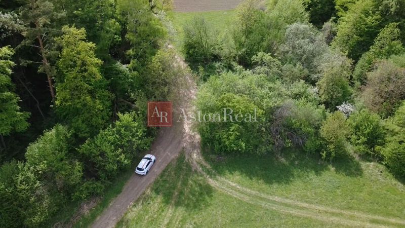 Wiesenweg umgeben von Bäumen auf Erholungsgrundstücken in Streženice, Streženice.