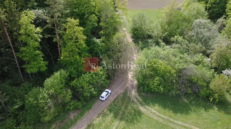 Ein Auto auf einem Waldweg zwischen grüner Vegetation in den Erholungsgebieten in Streženice.