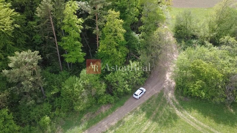 Wiese mit Fahrzeug vor dem Wald auf Erholungsgrundstücken in Streženice, Streženice.