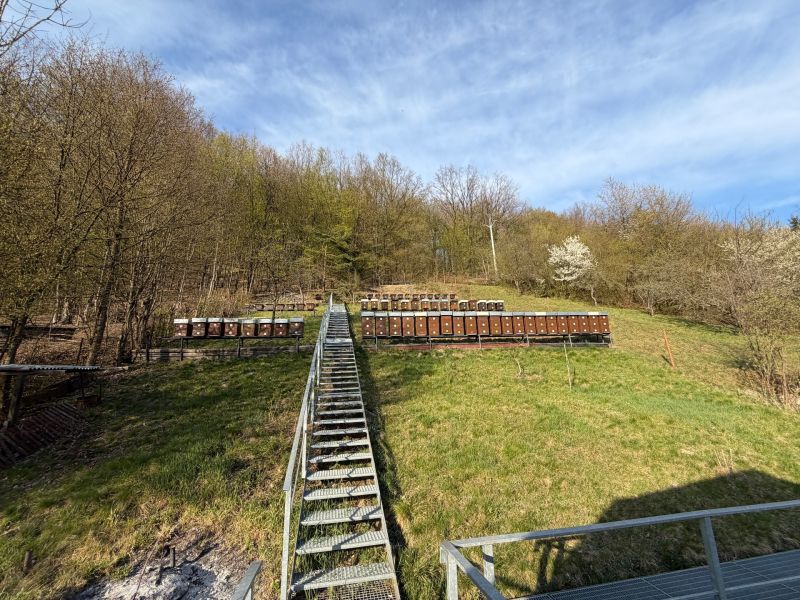 Bienenstöcke am Hang, umgeben von Wald, auf dem Gelände eines Einfamilienhauses in Štós.