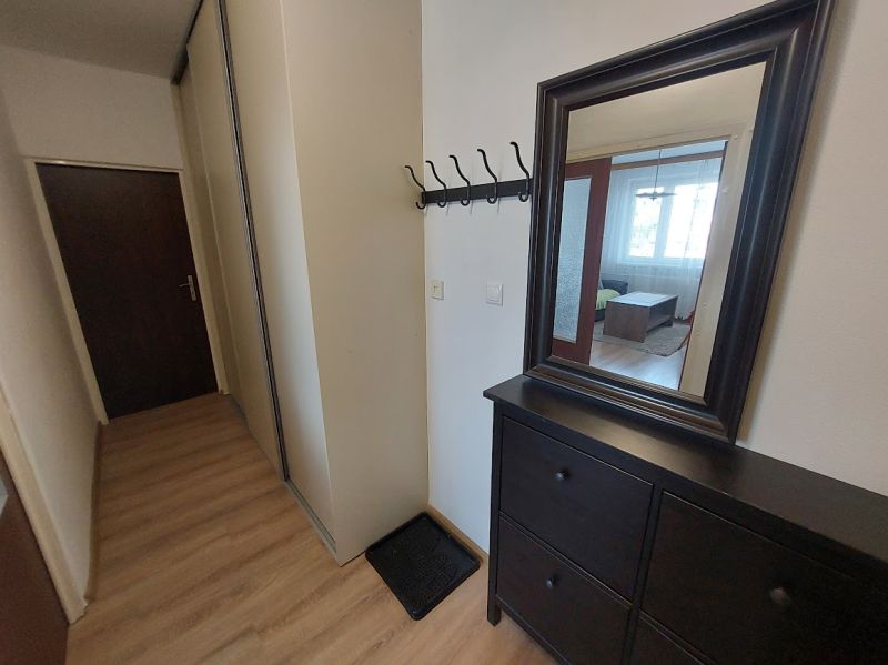Flur in einer Einzimmerwohnung mit Holzboden, Garderobe und Spiegel.