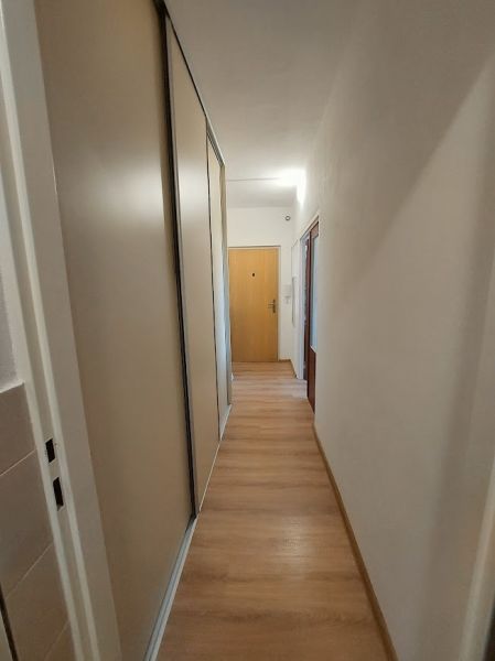 Flur mit Einbauschrank und Boden mit Holzdekor in einer Einzimmerwohnung.