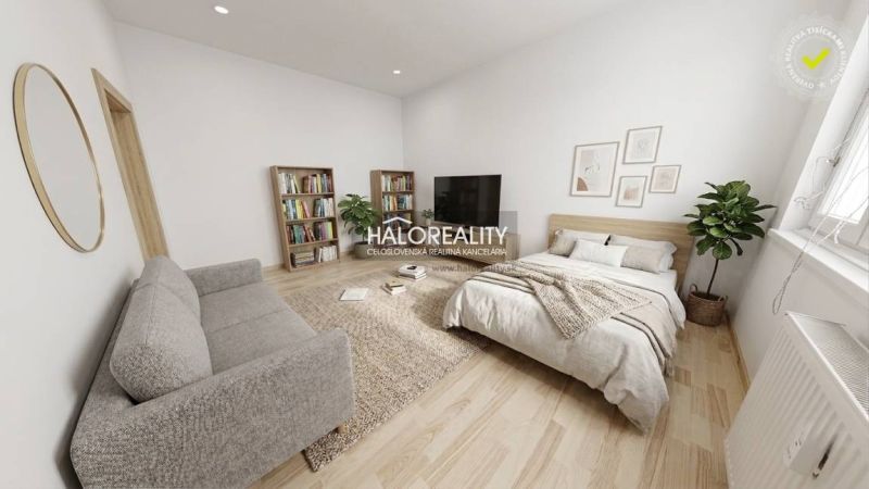 Wohnzimmer in einer Einzimmerwohnung mit Sofa, Bett und Holzboden.
