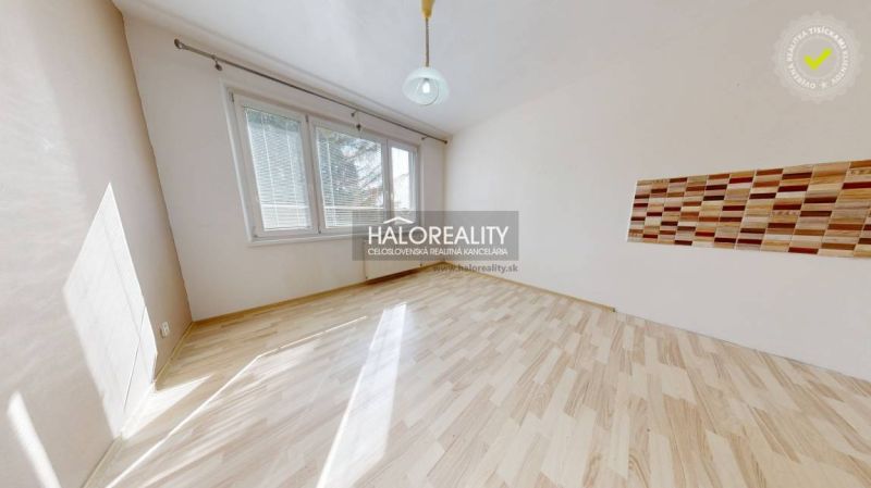 Helles Zimmer mit Holzboden und großen Fenstern in einer Einzimmerwohnung.