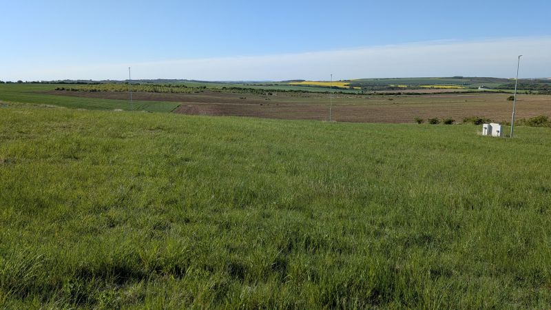 20118.jpg