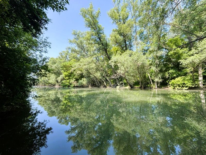 Ein von Grün umgebener Fluss in Gabčíkovo, Spiegelung der Bäume auf der Wasseroberfläche.