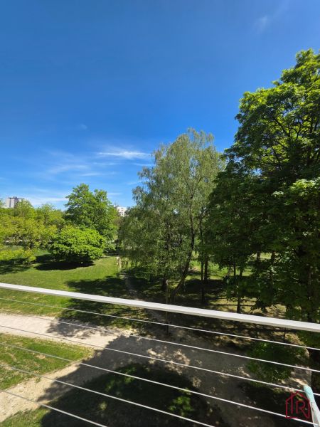 Blick auf den von Bäumen umgebenen Park von einer 3-Zimmer-Wohnung in der Lesnícka-Straße in Košice.