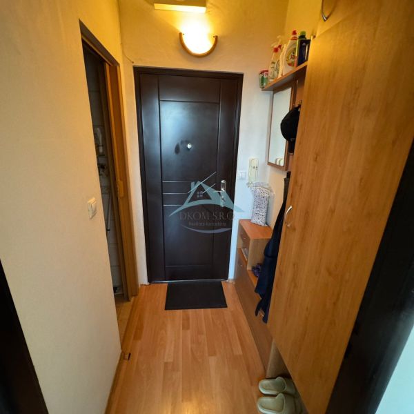 Der Flur in einer Einzimmerwohnung mit einem Holzboden und Möbeln.