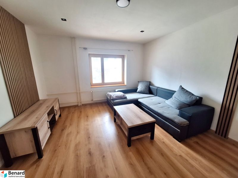 Wohnzimmer in einer 2-Zimmer-Wohnung mit Holzboden, Sofa und TV-Tisch.
