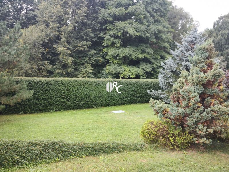 Garten bei einem Einfamilienhaus in Trebostovo mit einer Hecke und Rasen.