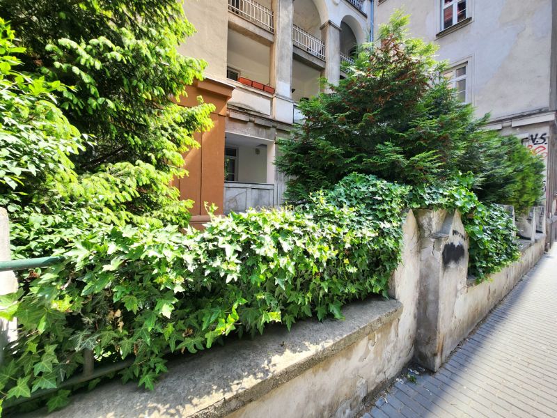Ein Garten mit Kletterpflanzen und Bäumen auf dem Jakubovo námestie in Bratislava, Altstadt.