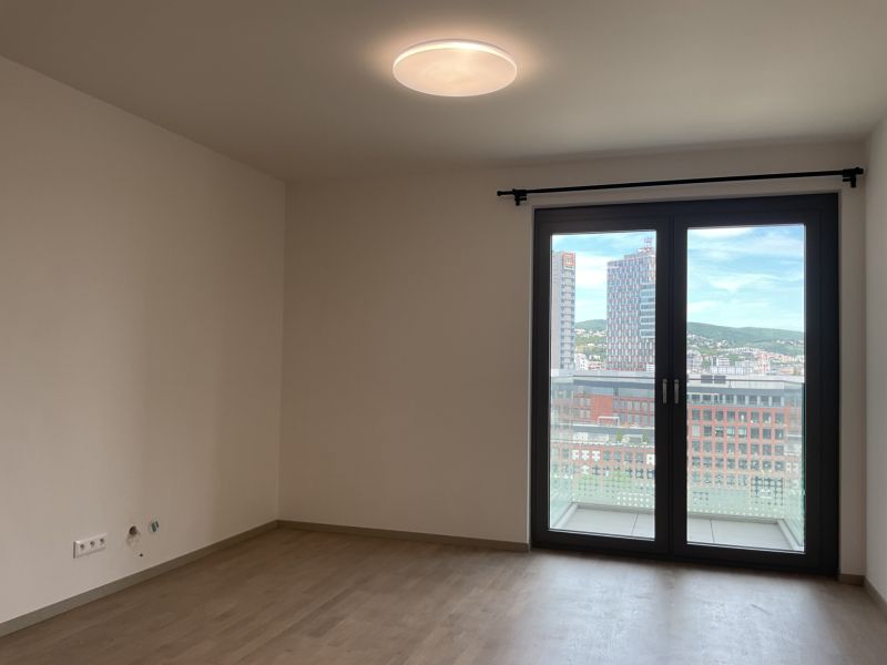 Wohnzimmer in einer Einzimmerwohnung mit Holzboden und großem Fenster zum Balkon.