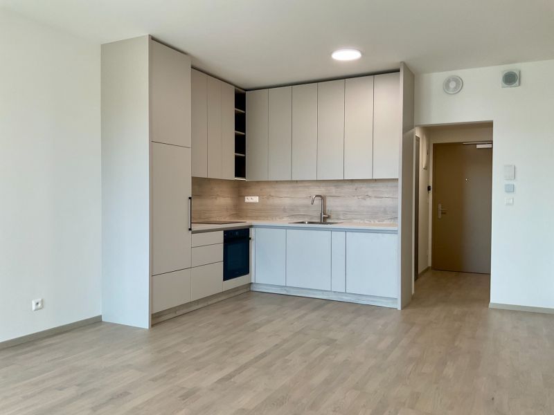 Moderne Küche in einer Einzimmerwohnung, helle Schränke, Boden mit Holzdekor, neutraler Stil.