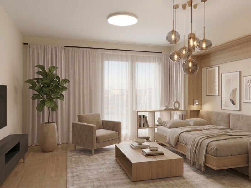 Einzimmerwohnung mit Sofa, Bett, Holzboden und Zimmerpflanze.