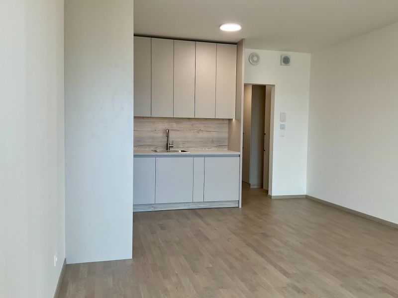 Küche in einer Einzimmerwohnung mit hellen Möbeln und einem Boden in Holzoptik.