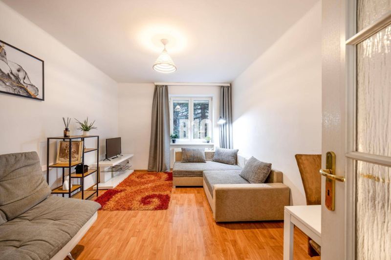 Wohnzimmer in einer 2-Zimmer-Wohnung mit Sofa, Fernseher und Holzboden.