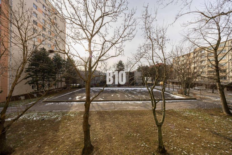 Winterlicher Blick auf Wohnhäuser und einen Gehweg mit Bäumen in der Račianska-Straße in Bratislava III.