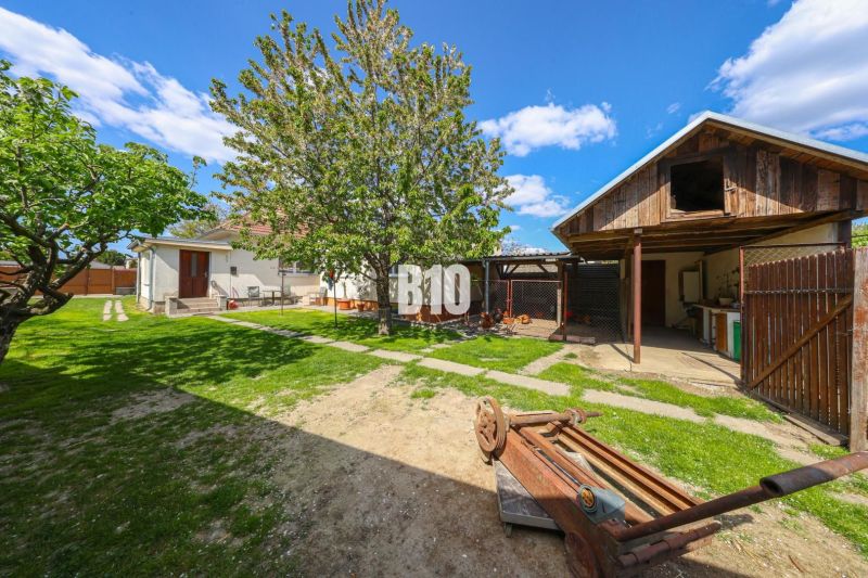 Der Garten des Einfamilienhauses in Kalinkovo mit Rasen, Bäumen und einem Wirtschaftsgebäude.
