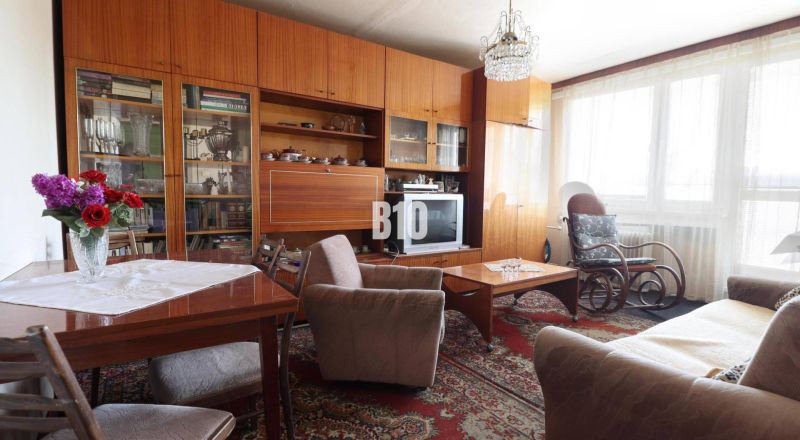 Wohnzimmer in einer 3-Zimmer-Wohnung mit Retro-Möbeln, Teppich und Blumen auf dem Tisch.