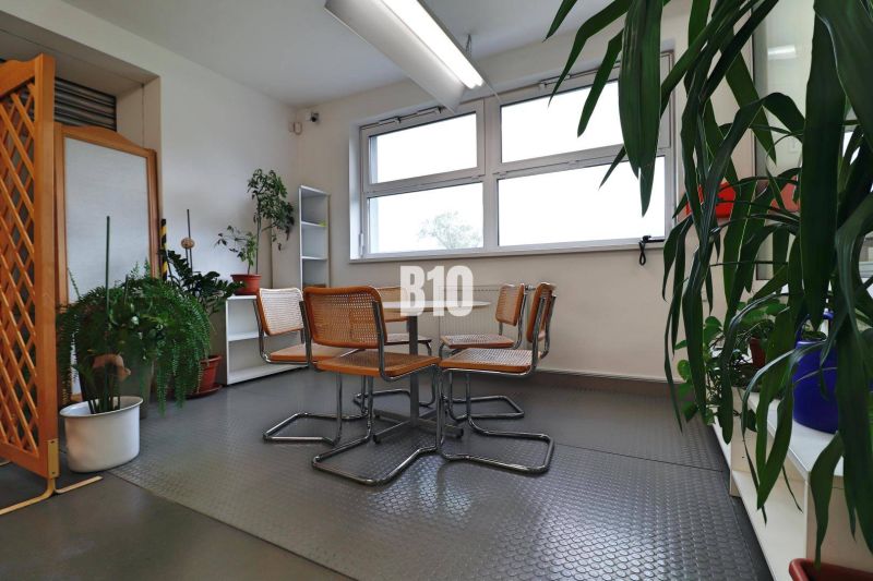 Innenraum von Produktionsräumen mit Tisch, Stühlen und Pflanzen auf dem Boden.